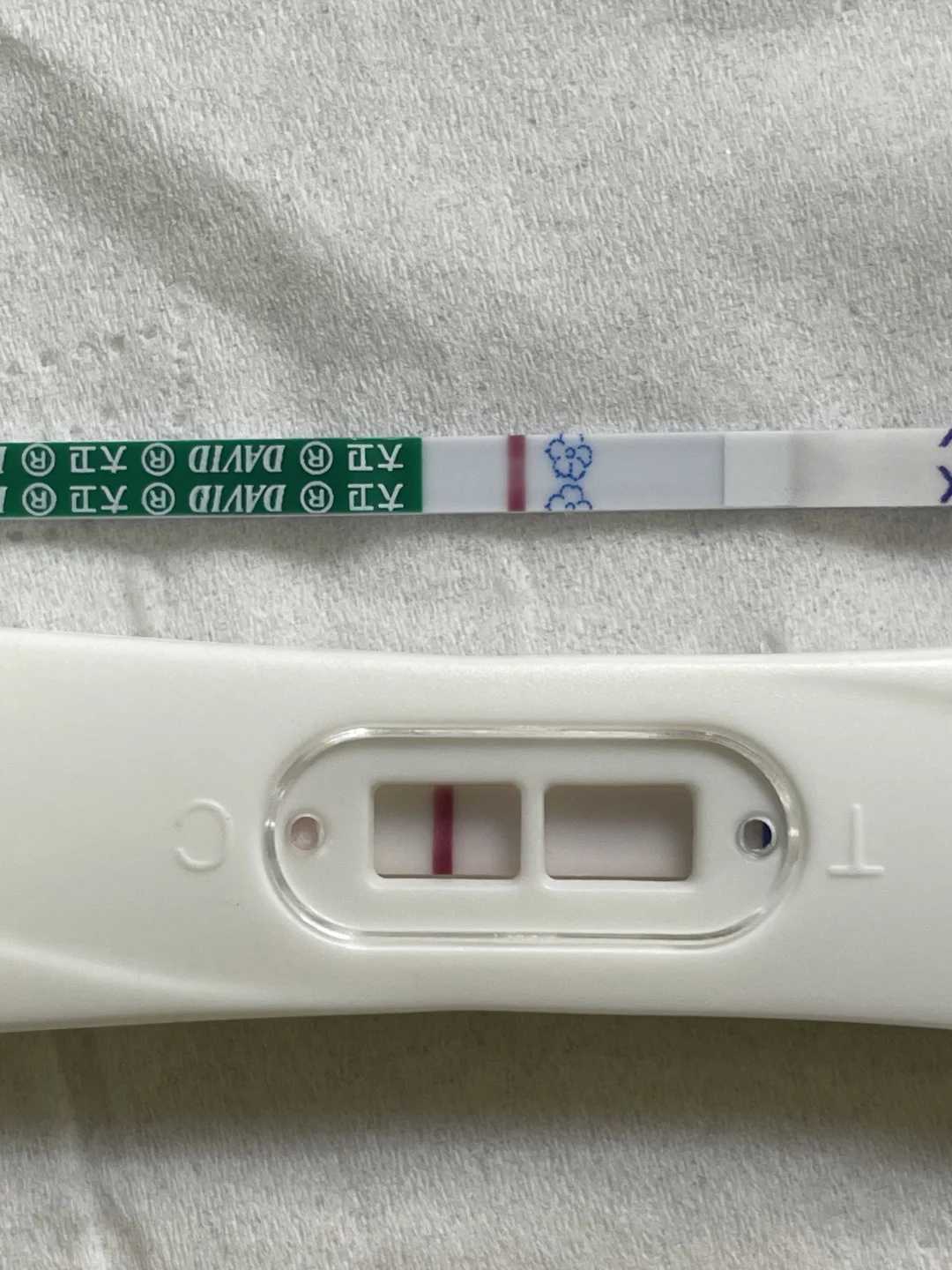 放生要念什么咒最好，药师佛法全介