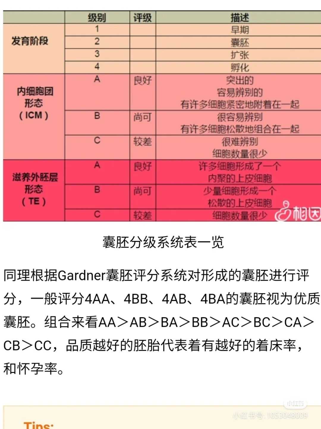 鲫鱼放生的最佳方法，放生黑鱼的寓意