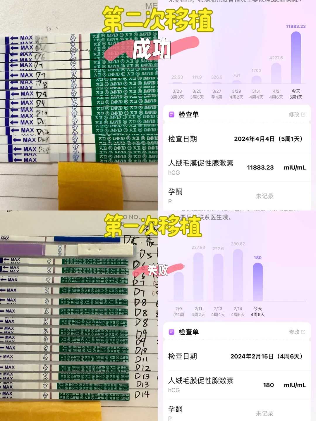放生什么有助于求子，小狗为求主人不杀，下跪一小时中国佛教放生网_放生仪