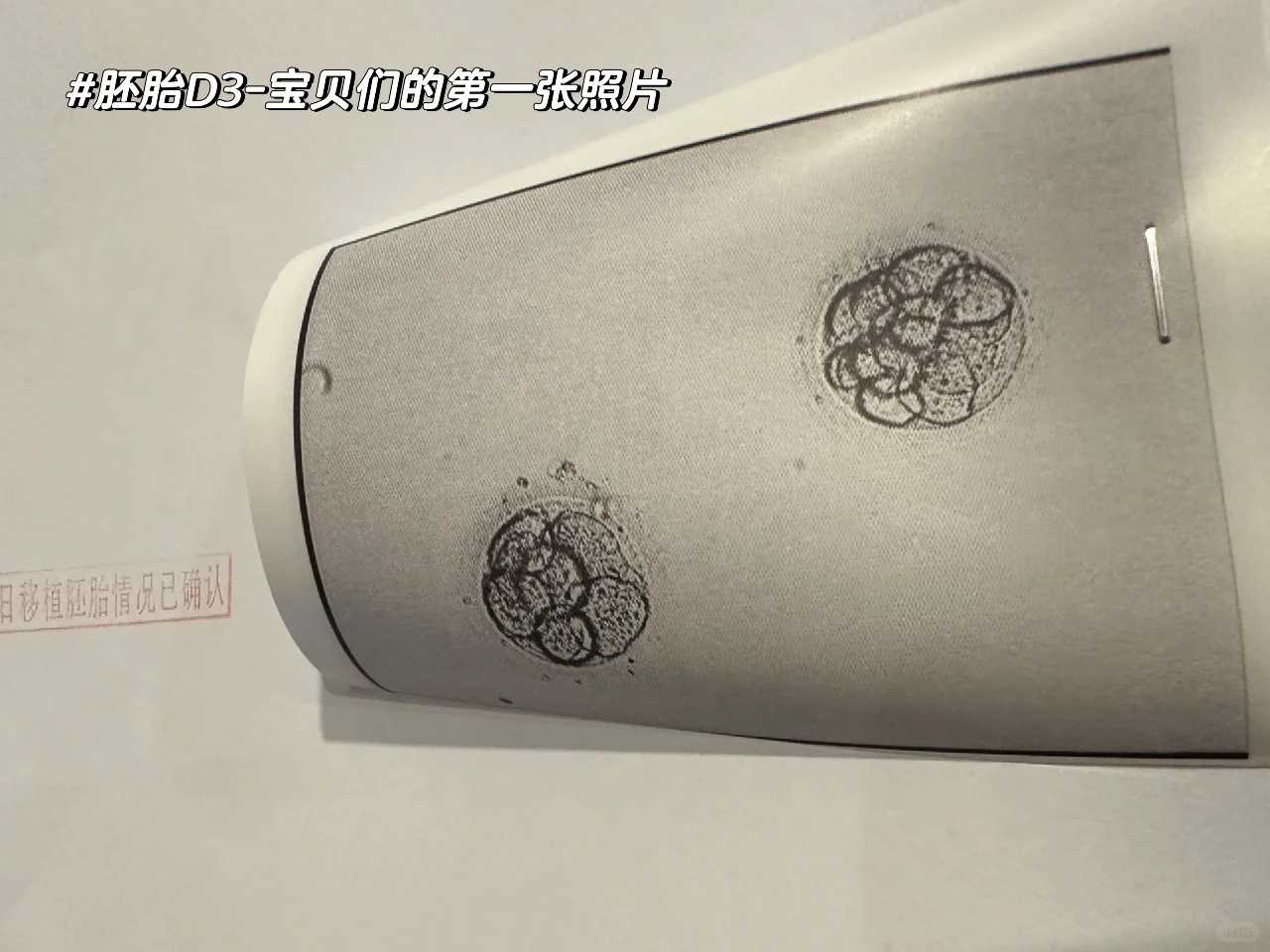 放生的十种功德_提醒自我