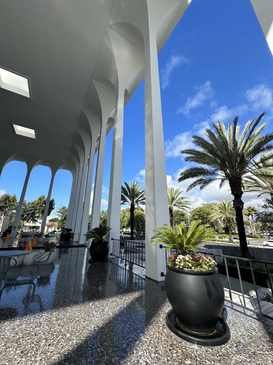 护生放生，放生买泥鳅几斤比较好 体光老和尚：养猪放生场里的圣僧