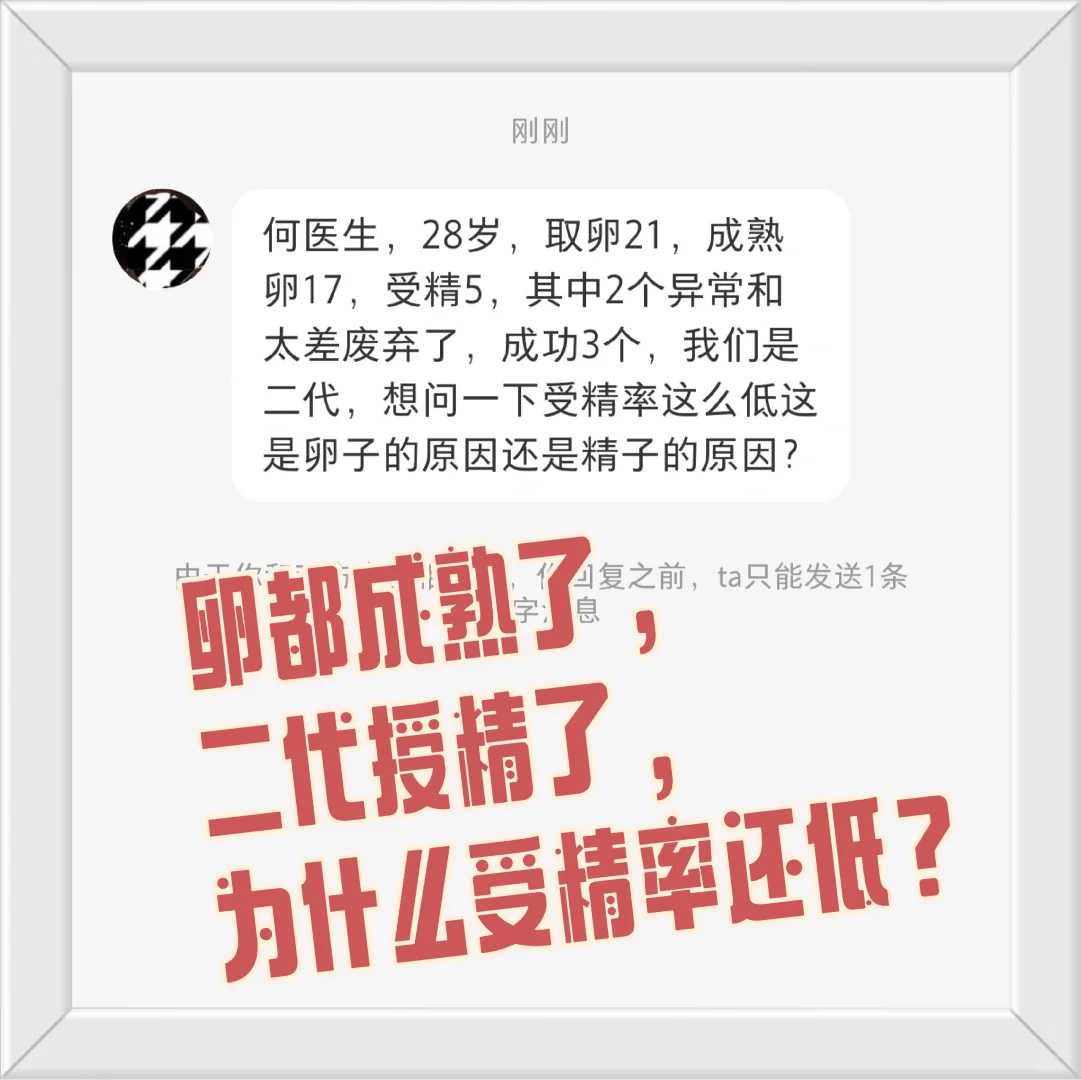 梦见放生鱼有什么寓意，买活鱼放生