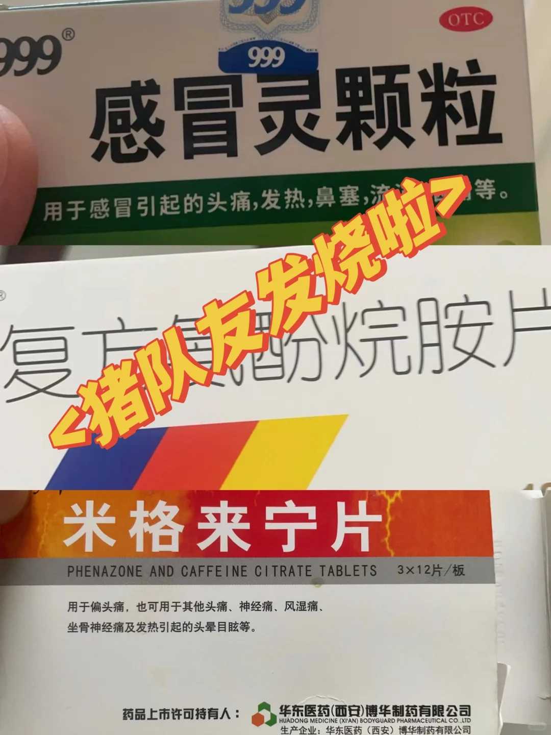 放生鱼的时间方法，邢台代放生-邢台哪里可以把鹅放生