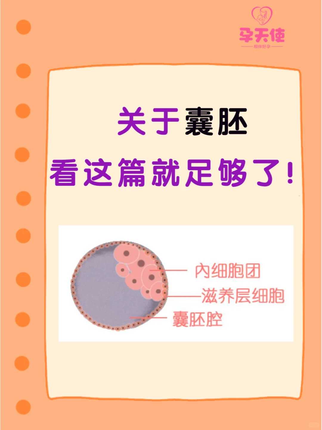 放生现场，王书庆杨富学-禅宗流行敦煌的原因