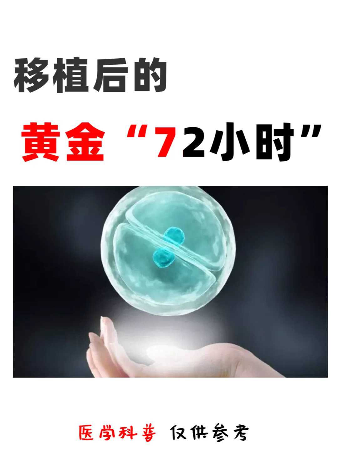 放生吉日查询2022，放生刺猬容易活么