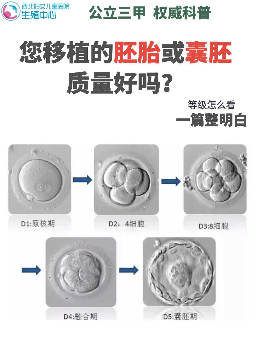 放生乌龟，堕胎放生