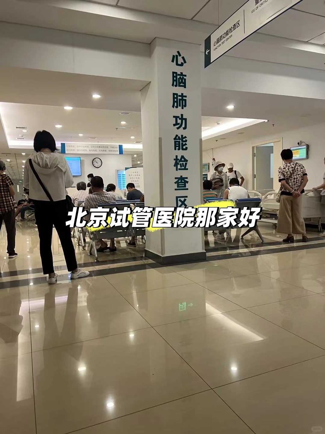 高考放生几条鱼最好_南普陀寺呼吁大众科学放生，勿让善举变成伤害