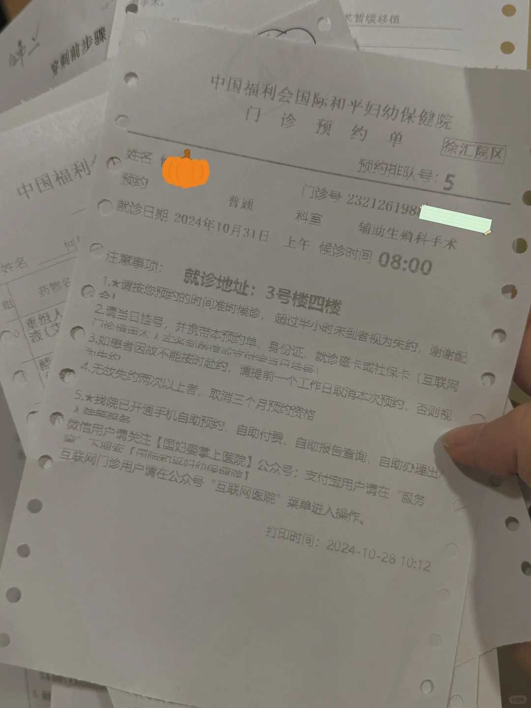 莆田小乌龟怎么放生（莆田长期放生泥鳅的人好吗）