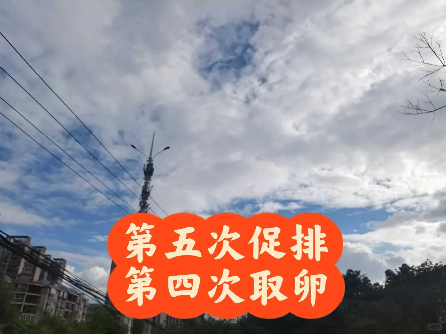 求子放生，什么是放生