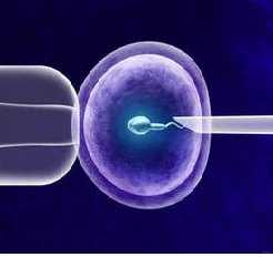 惠州姻缘放生几条鱼,惠州中华草龟放生违法吗,放生放死了有罪吗
