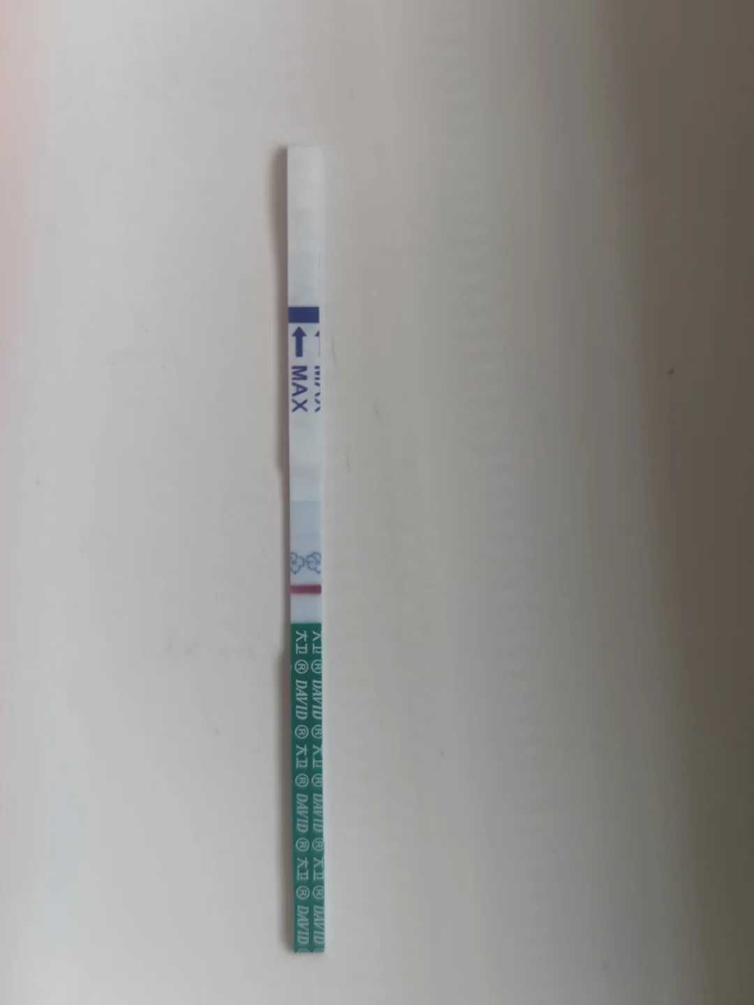 最简单放生咒武汉仓鼠放生需要什么条件【抓到别人放生的甲鱼】