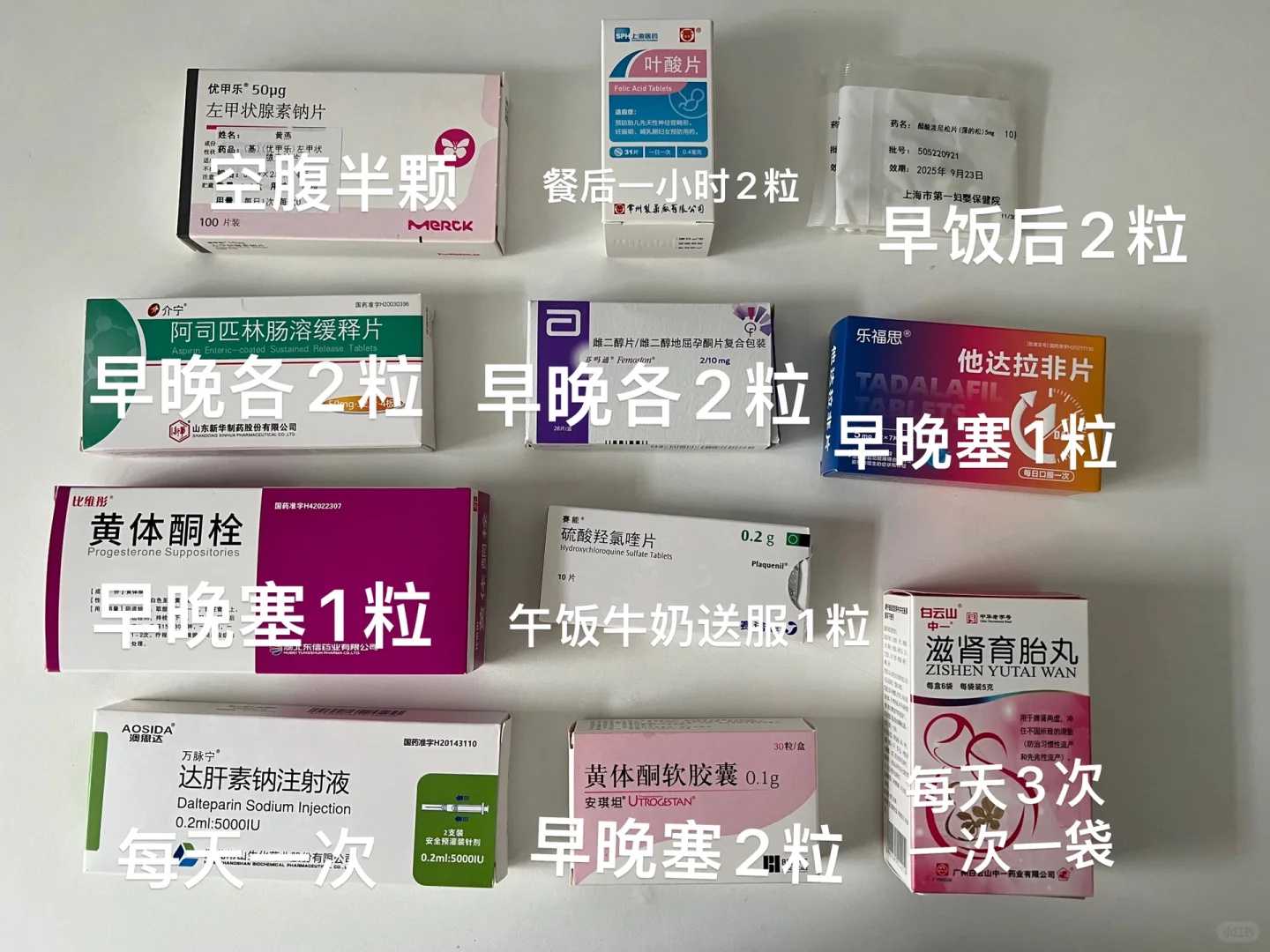 乌龟怎样放生，钓完的鱼放生还能活吗