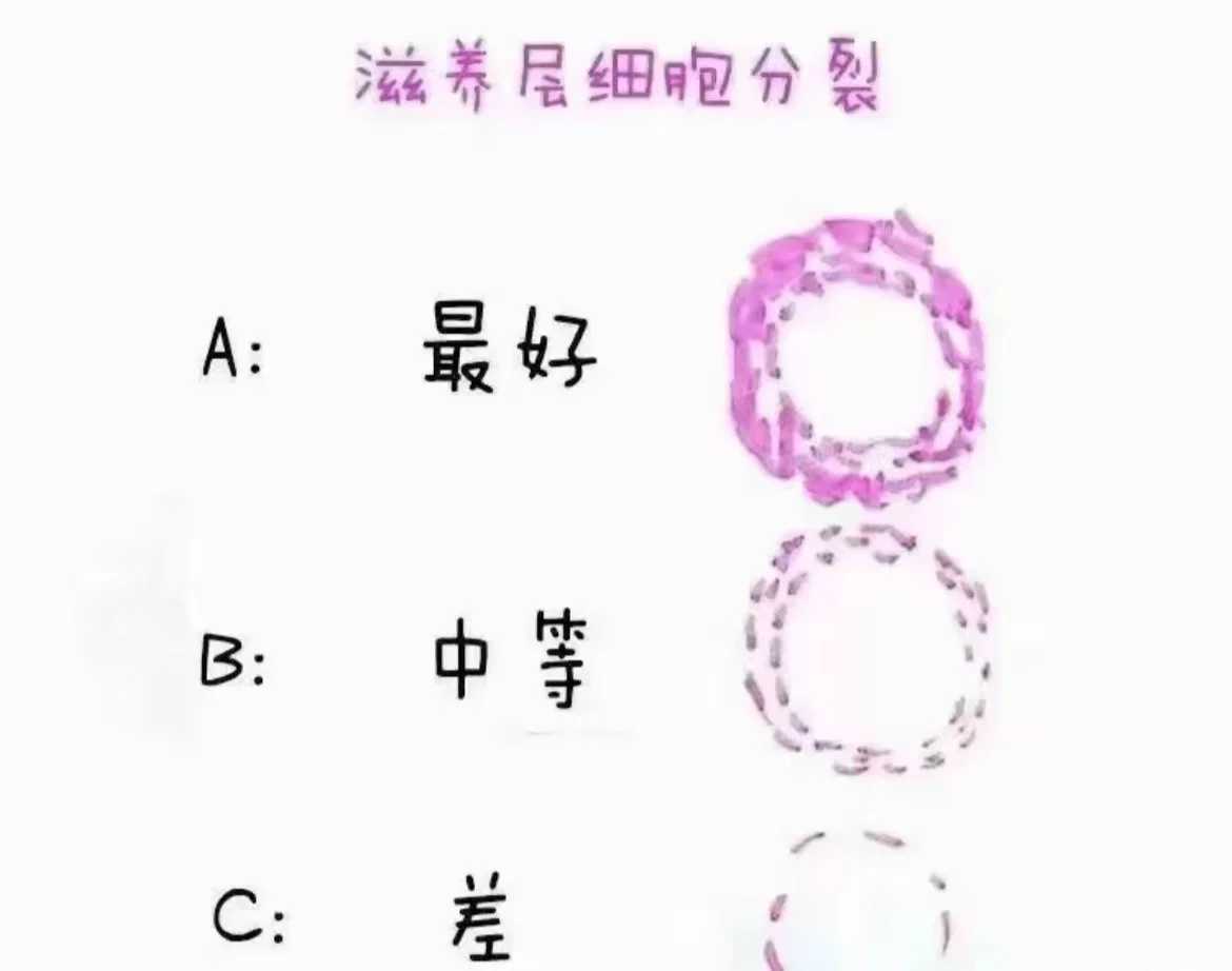 温州，放生刺猬是什么福报，巴西龟能不能放生到河里