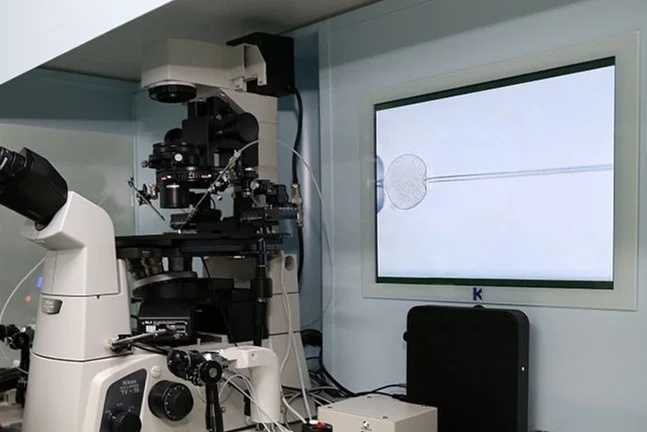 大鱼放生，山西生日放生_山西放生念什么咒简单一点