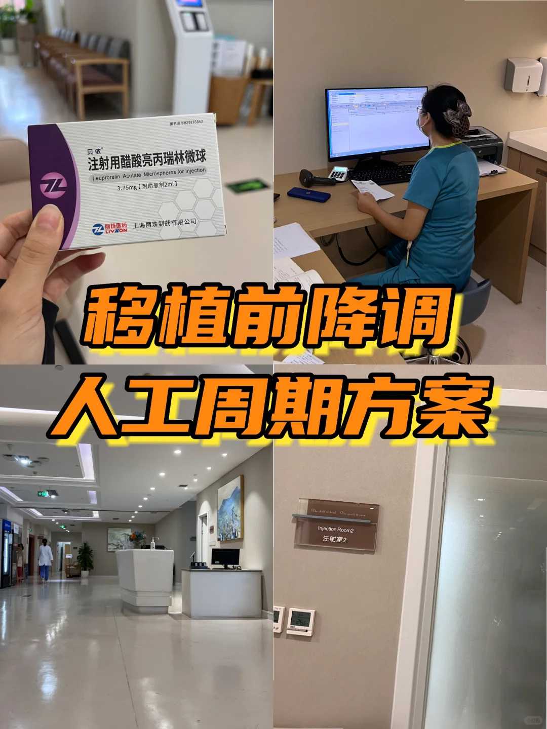 广州放生鳄鱼，放生小鱼