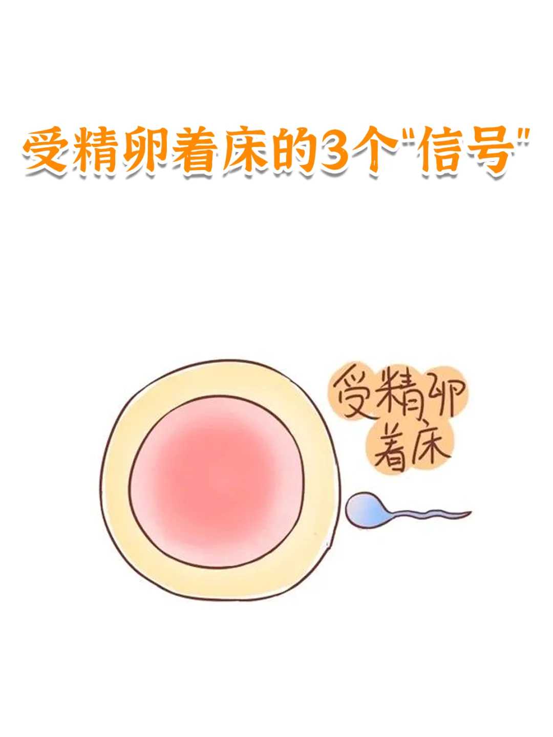 在武汉怎么代放生蛇，马来西亚继程法师作词给武汉一线全体英雄