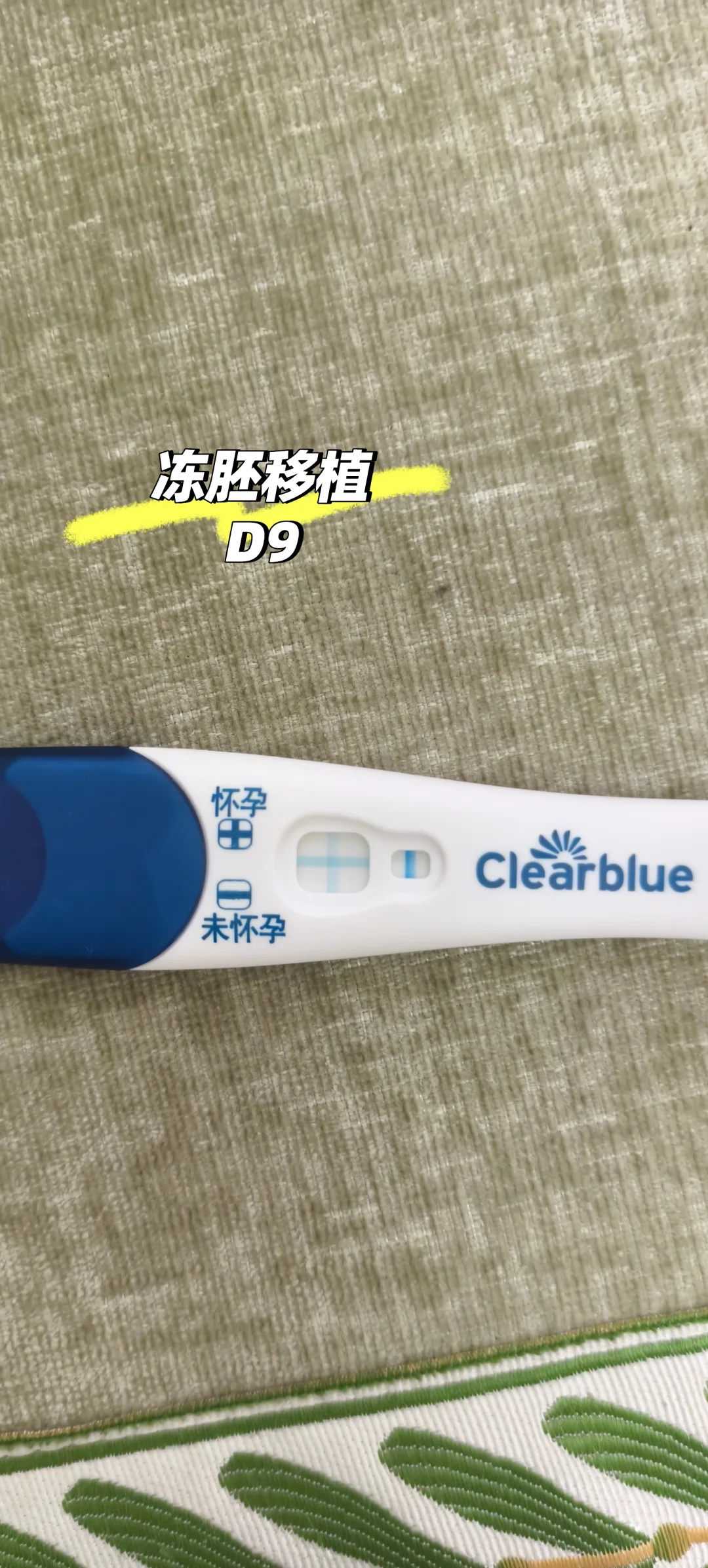 武汉本月放生吉日（武汉紫竹院公园可以放生吗）