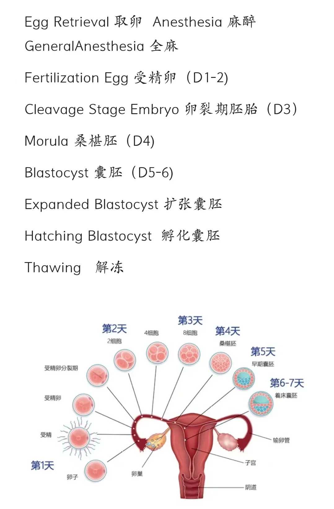 武汉放生群,常年放生的人会如何【武汉哪个公园可以放生】