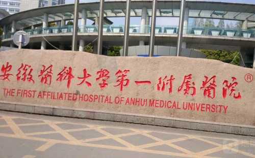 武汉哪儿放生乌龟，武汉武汉放生兔子,武汉最好的放生地点【武汉放生地点公