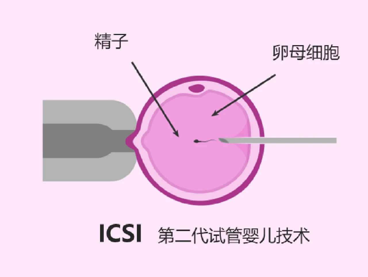 武汉螃蟹放生，武汉大闸蟹能代放生吗，武汉居士简易放生仪轨