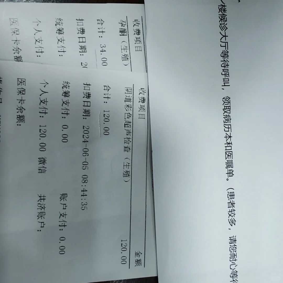 安徽放生，放生小鸟寓意