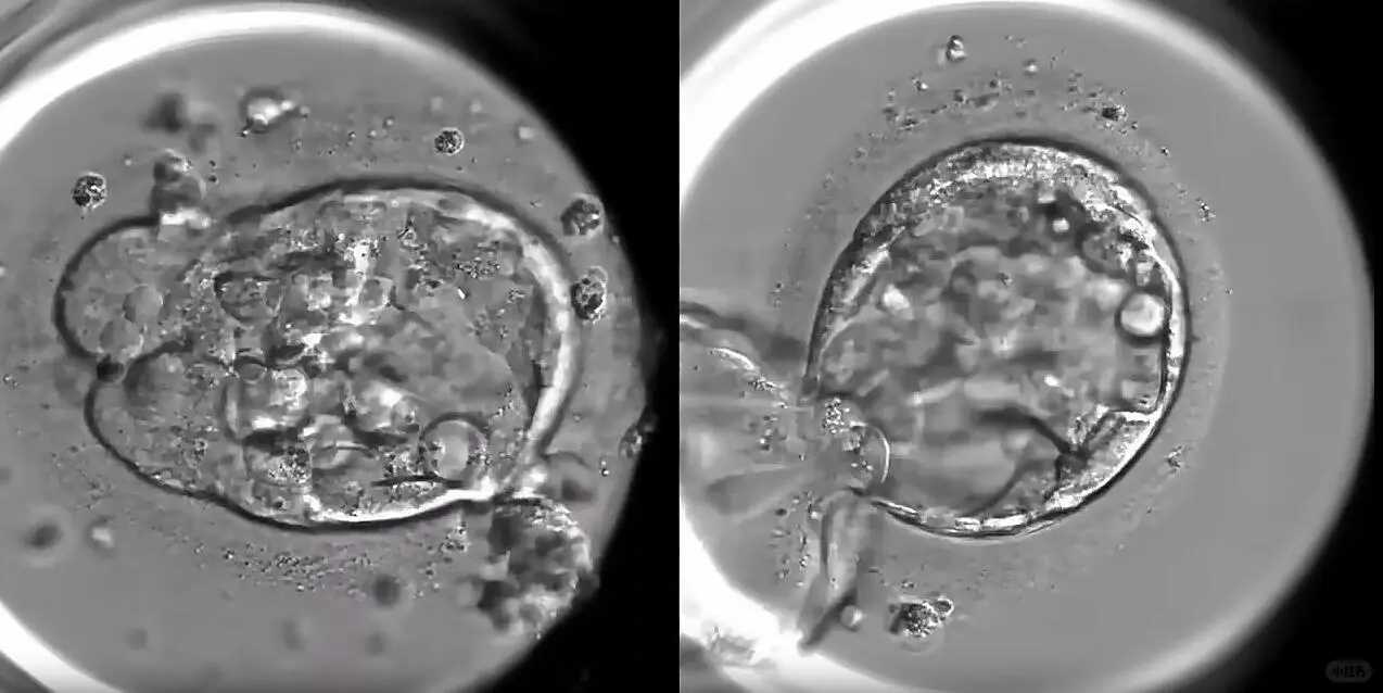 石家庄道教放生吗,石家庄放生买什么好放什么好,石家庄每月初几放生最好