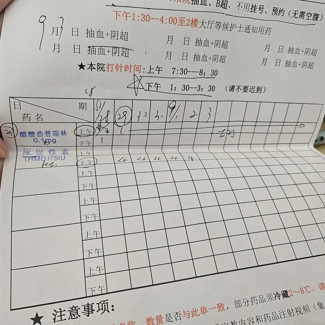 湖北放生念什么经，湖北放生乌龟有什么好处，鱼放生的必念口诀