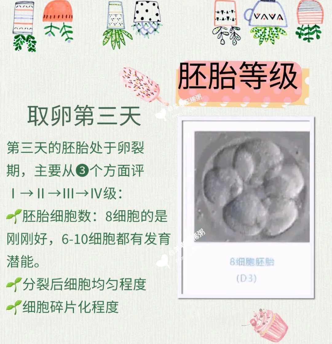 武汉长期放生的人，武汉放生兔子的正确方法，放生啥时候放生好