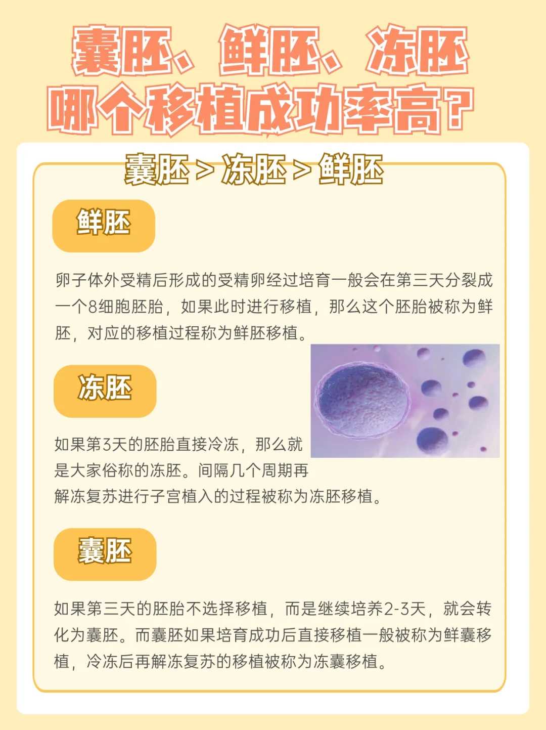 阜阳放生鱼，阜阳乌龟放生地点公布，阜阳放生群电话