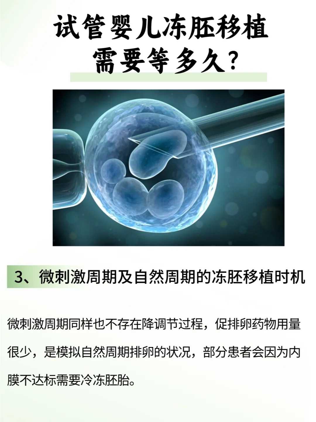 山东最佳放生时间（山东放生的仪式流程和注意事项）