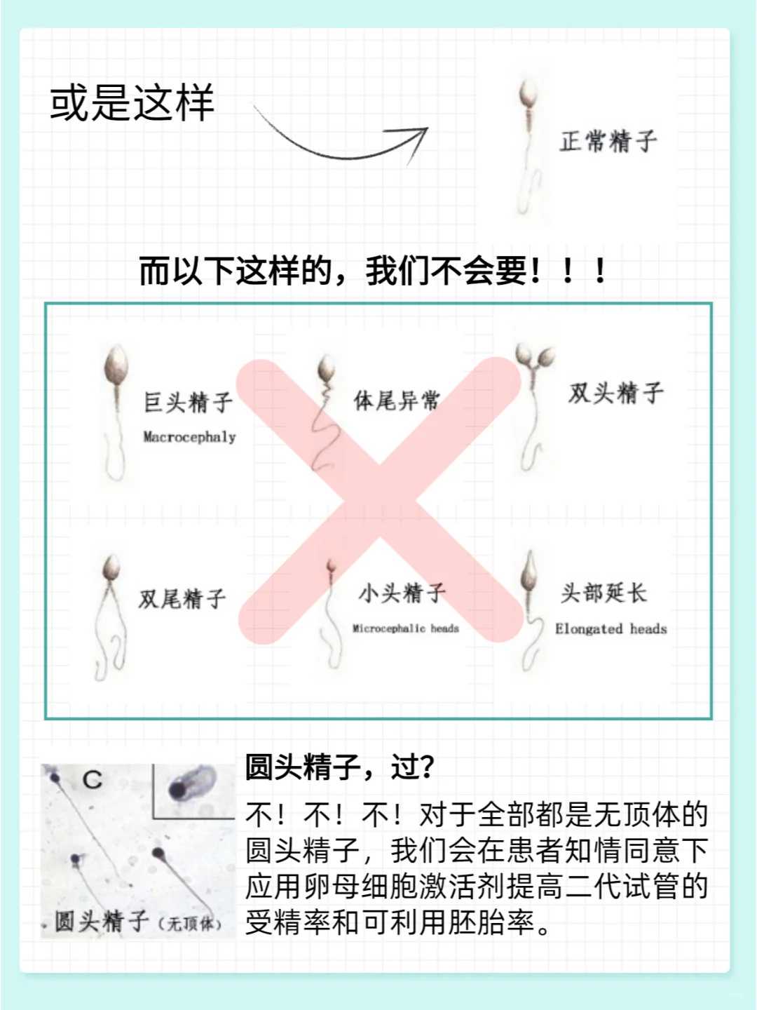 香港放生后消业障的表现,【鲤鱼放生注意事项】香港放生地点大全查询