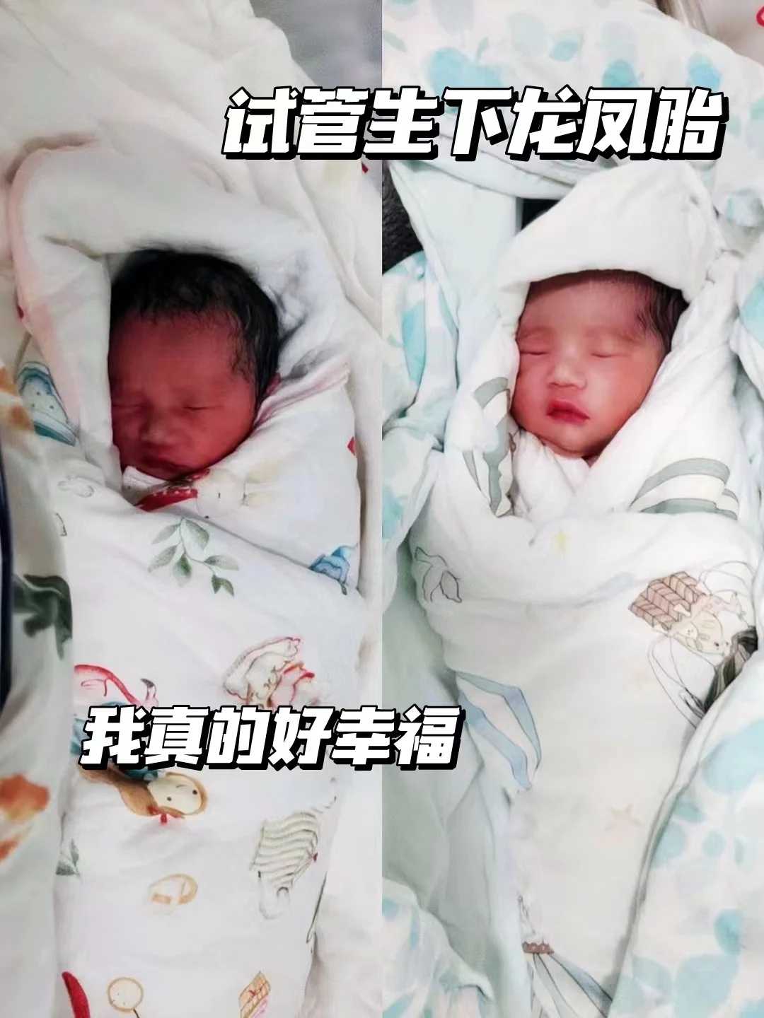 个人放生仪规石家庄家养田园猫代放生【农历八月哪天放生好】