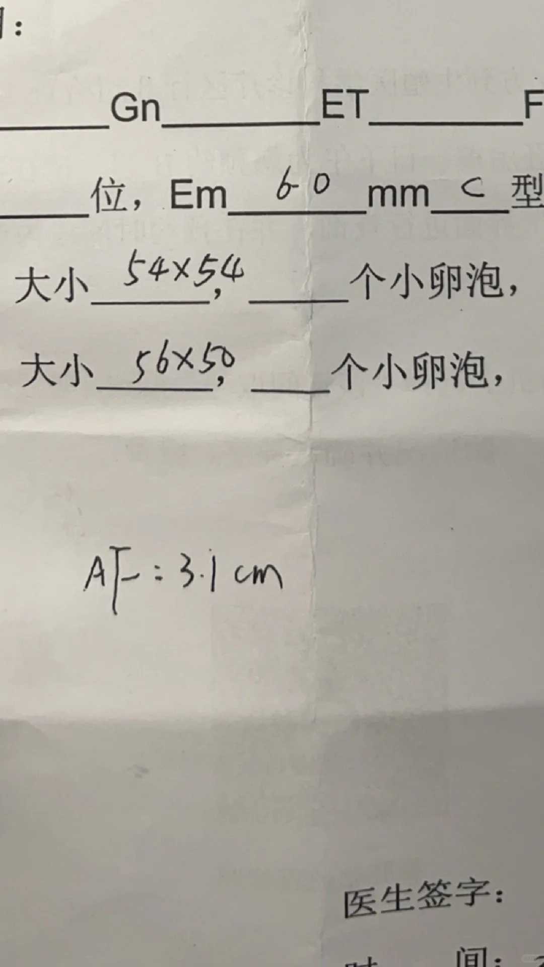 河北放生的吉日（河北捡到乌龟放生有什么寓意）