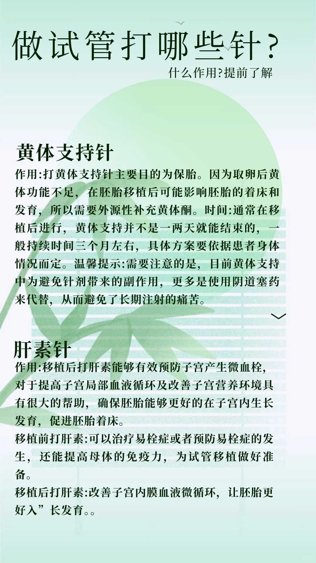 武汉武汉放生地方（武汉武汉白云区哪条河可以放生草龟）