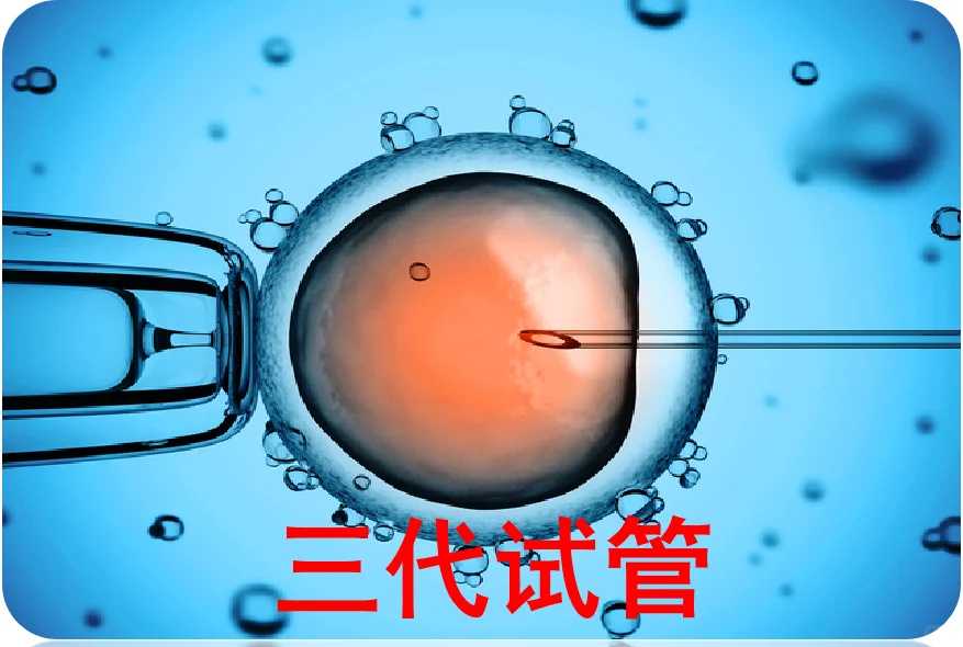 怎么放生武汉2022年放生黄历【放生乌龟最好放几只】