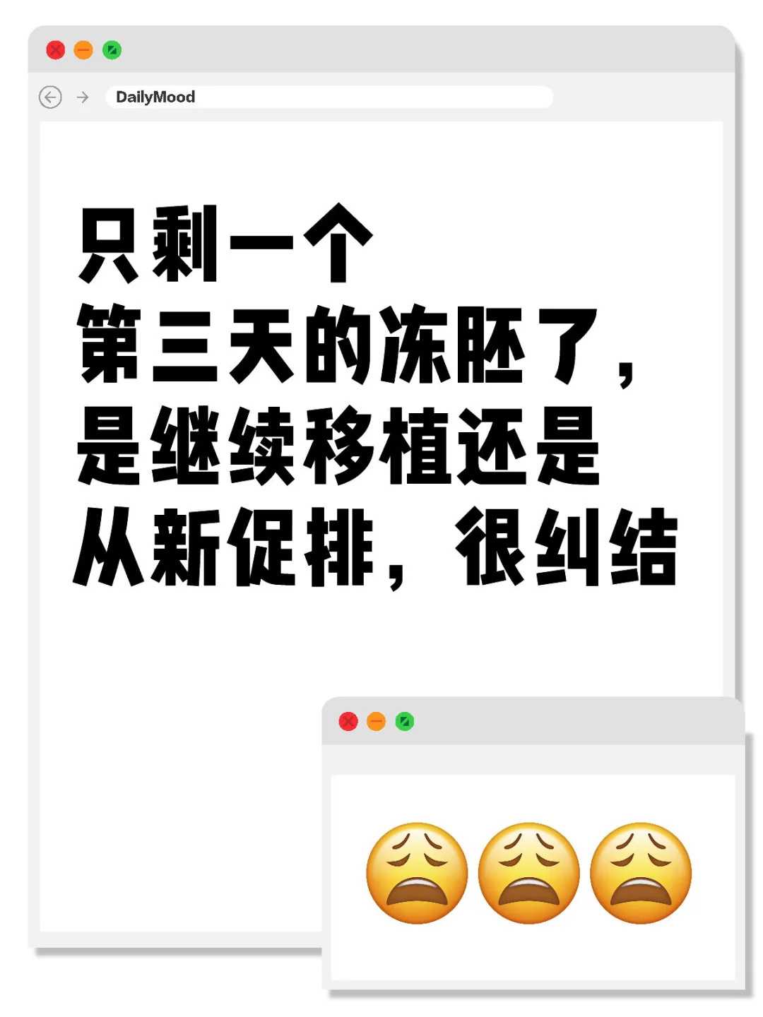 东莞怎么放生鸭子，东莞放生一定要念的咒语，麝香龟能放生吗
