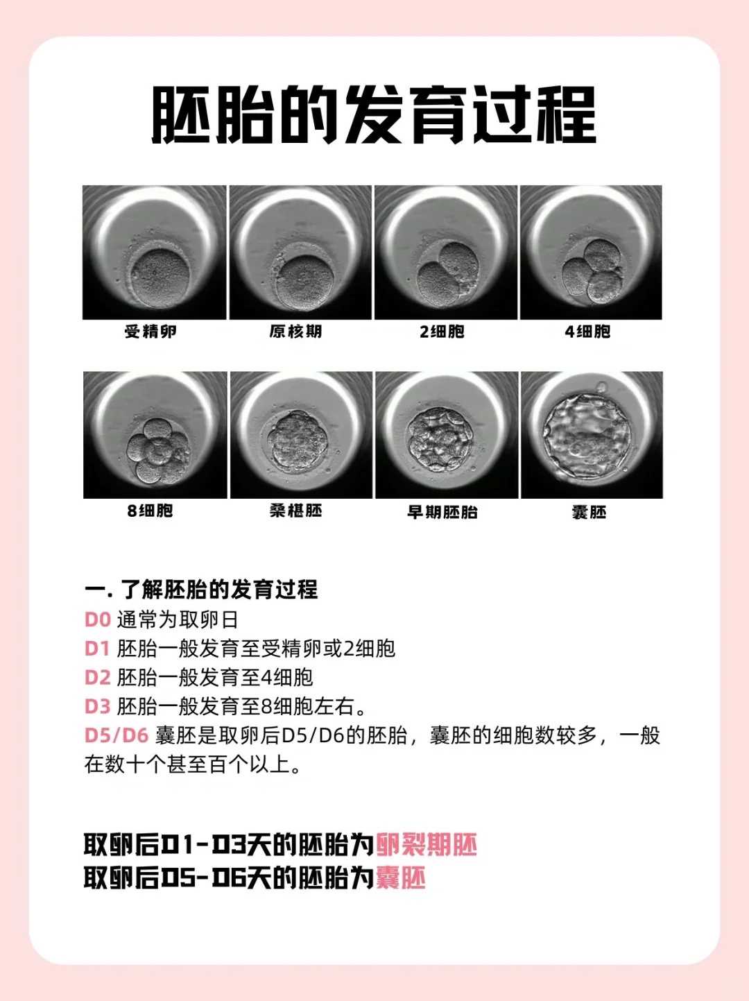 武汉随喜放生,武汉5月放生的日子,武汉近期放生的日子