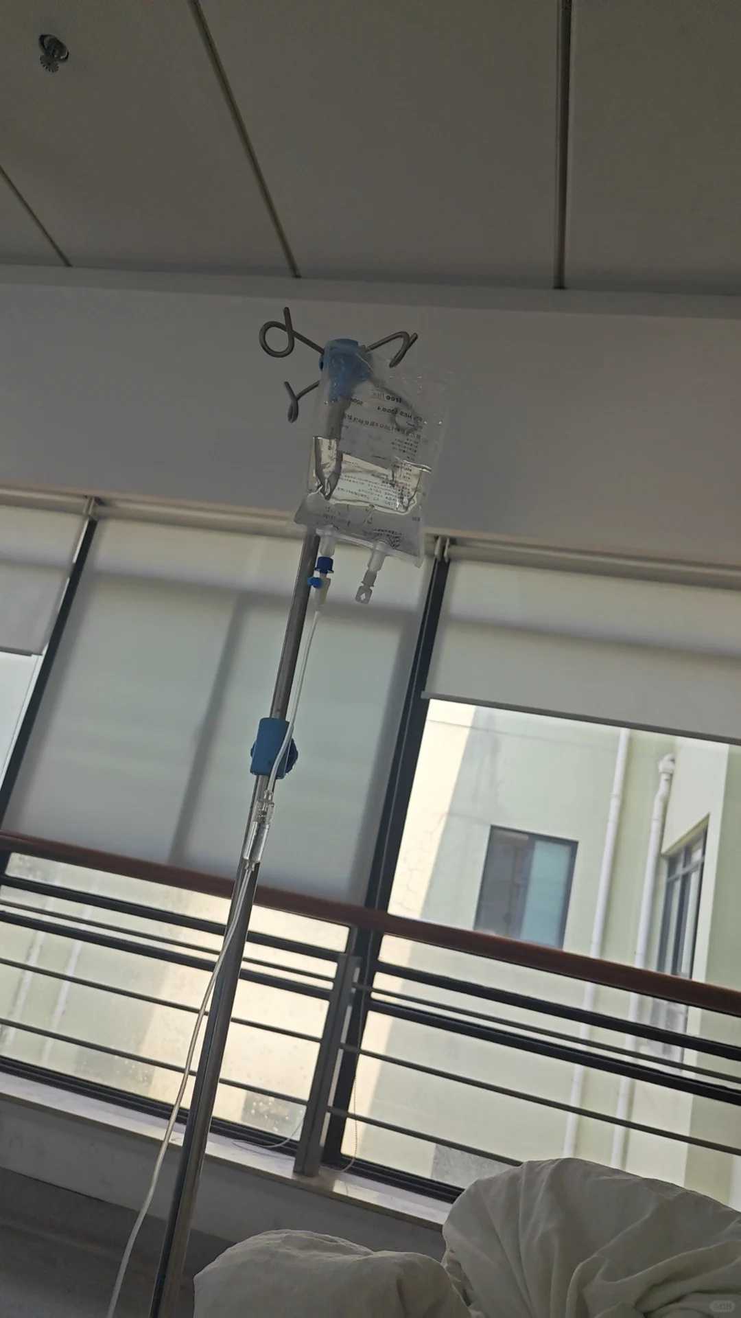 浙江,代放生花龟之后,关于放生这件事你怎么看