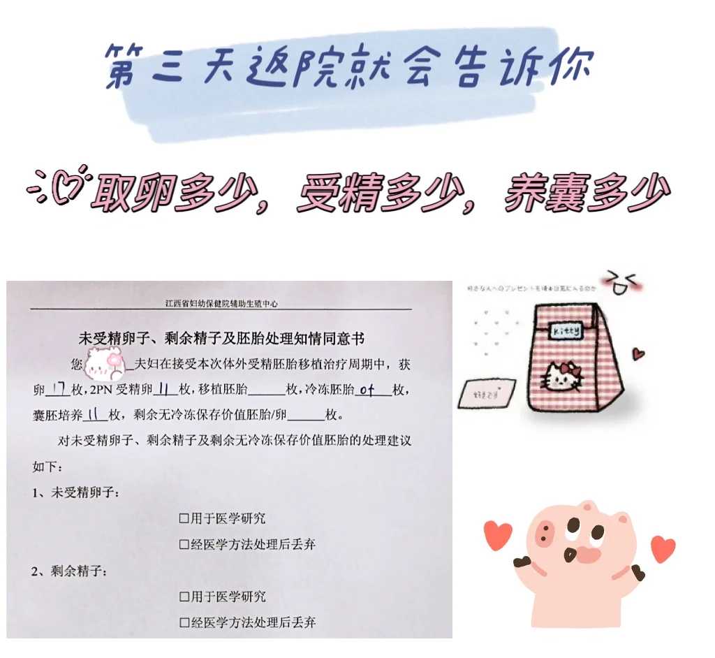武汉放生情况汇表,武汉放生鳄鱼龟看时辰吗,武汉做法事为什么要放生