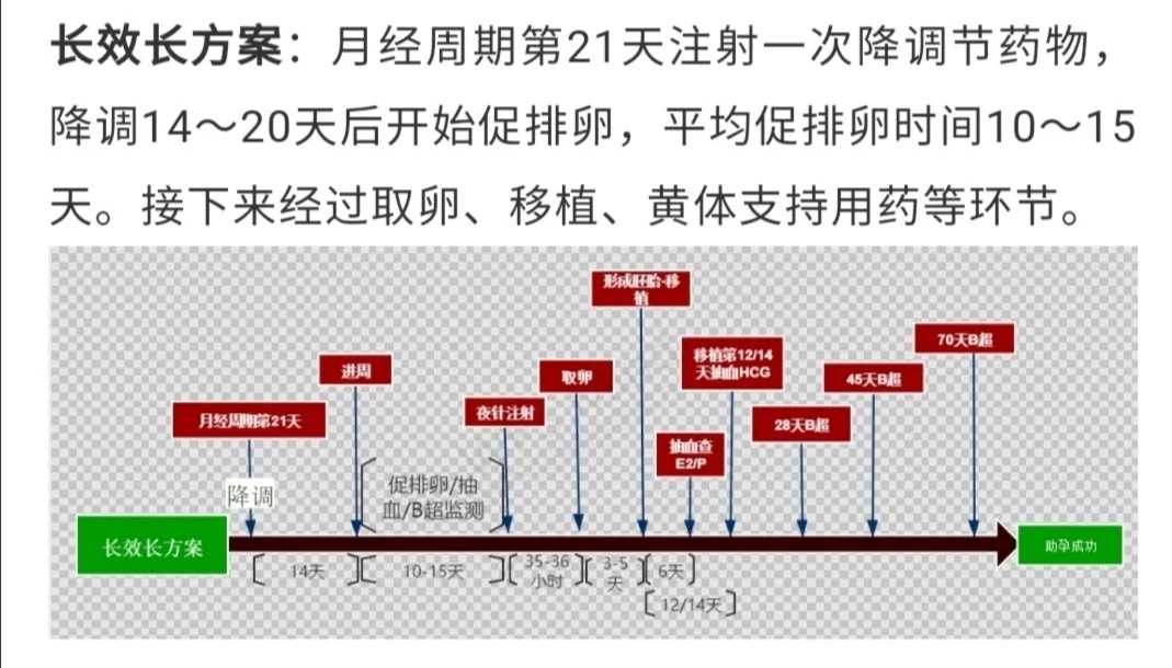 四川放生会怎么样,四川为什么不能买鱼放生,买了很多鱼去放生
