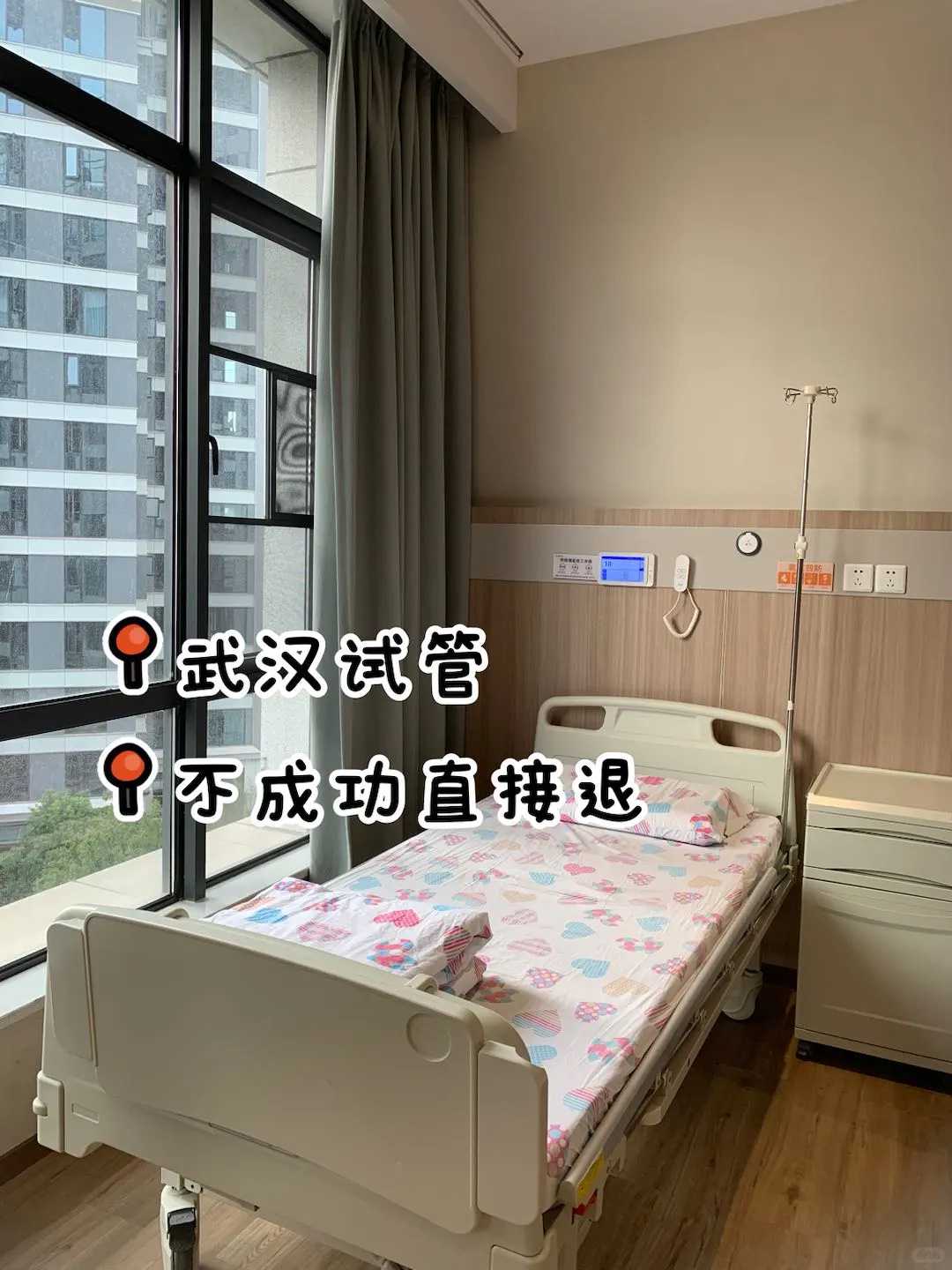 广东打过胎放生什么合适，广东伊通河代放生地点，广东狐狸怎么放生最好