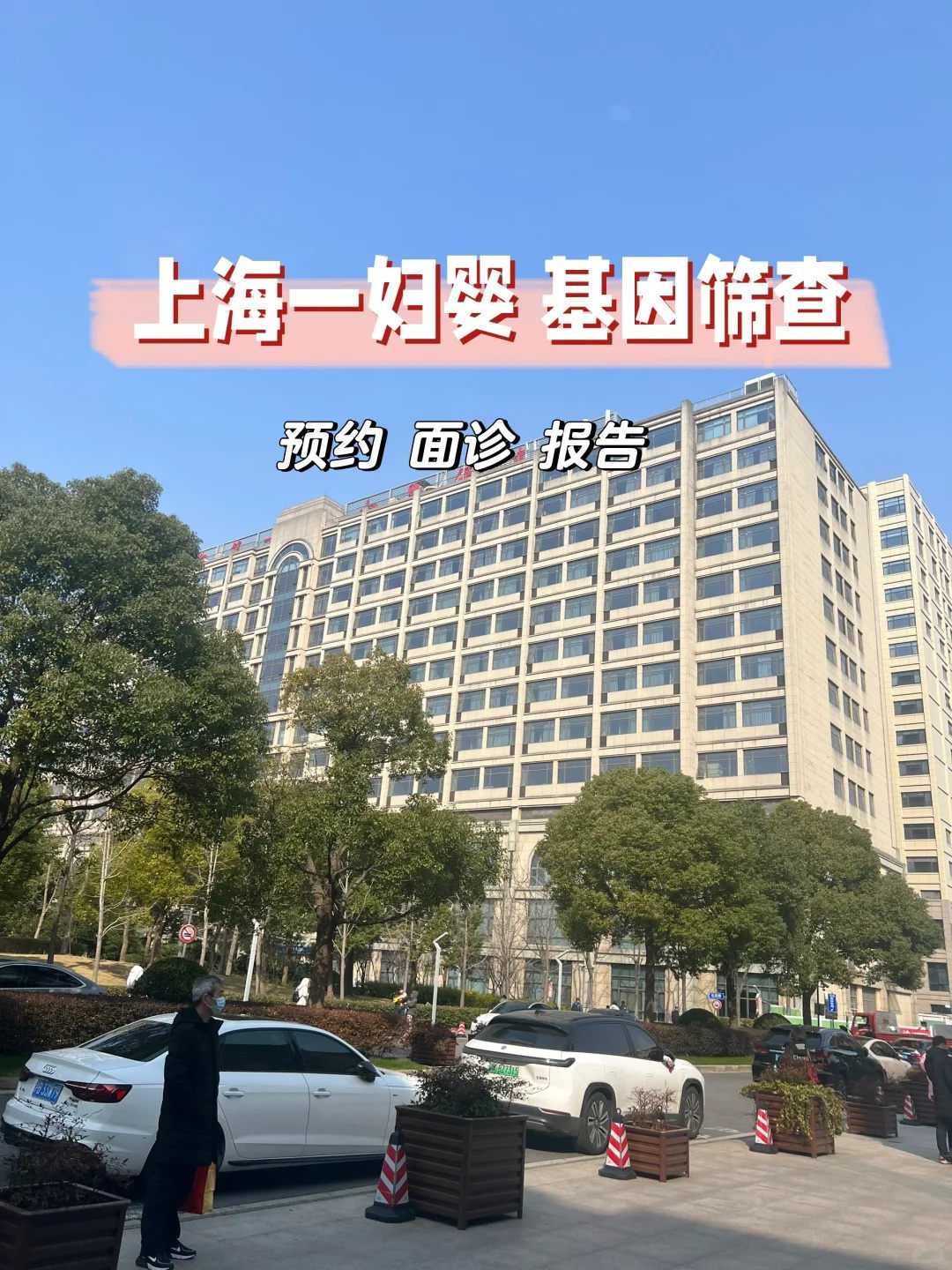 内蒙怀孕流产放生，内蒙放生用什么词语说好，如何正确的放生