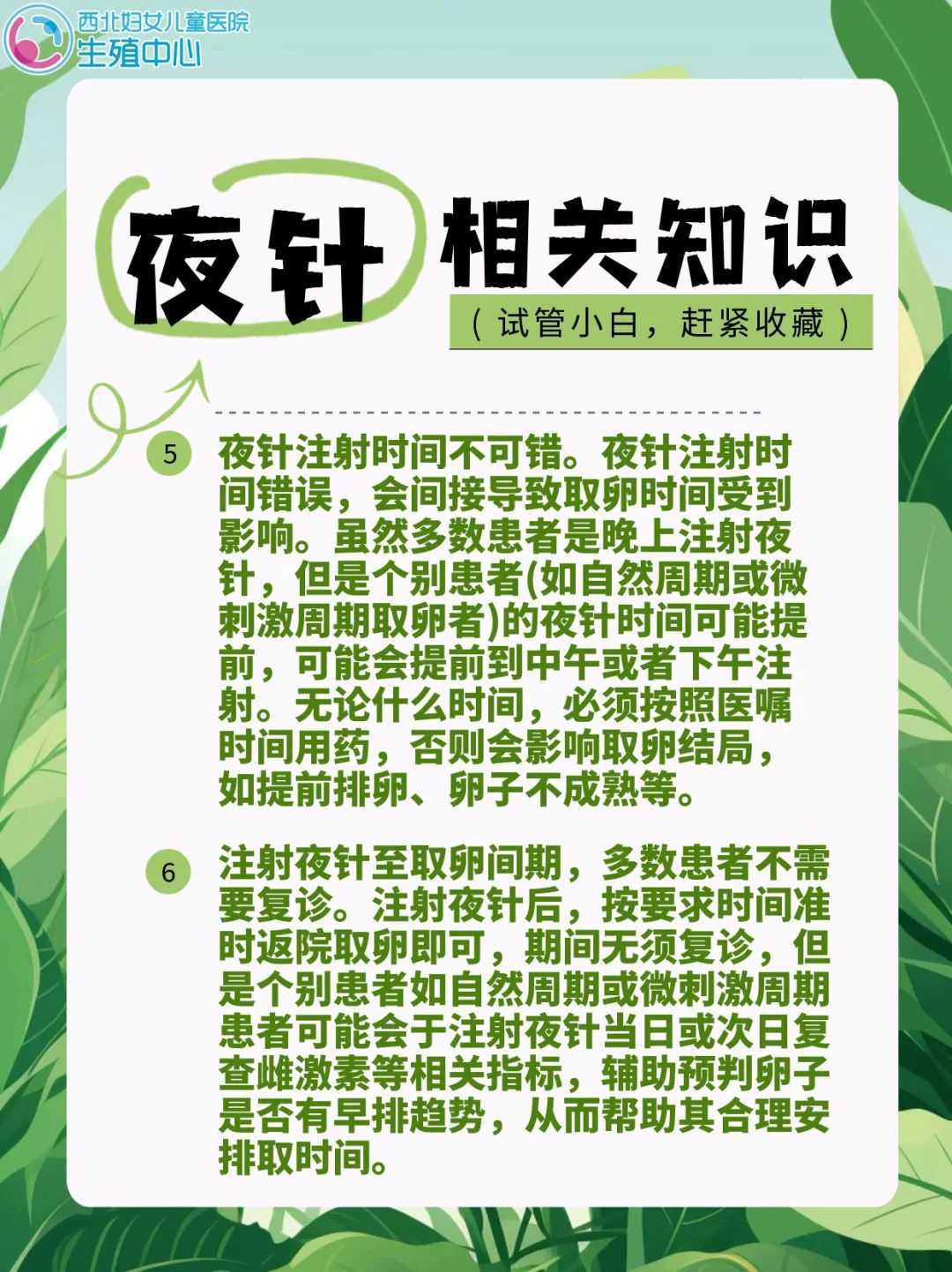 西安放生求福报,西安放生甲鱼有什么寓意,放生有什么忌讳吗