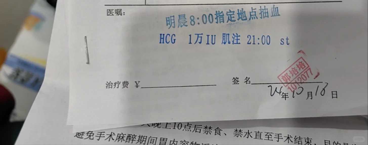 四川，代放生唱的佛歌，南沙区放生有哪些地方