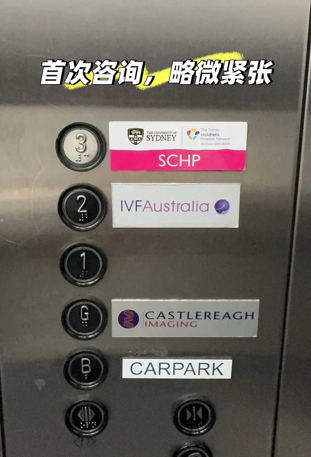 武汉，草龟冬天放生能活吗，放生乌龟会不会影响运气