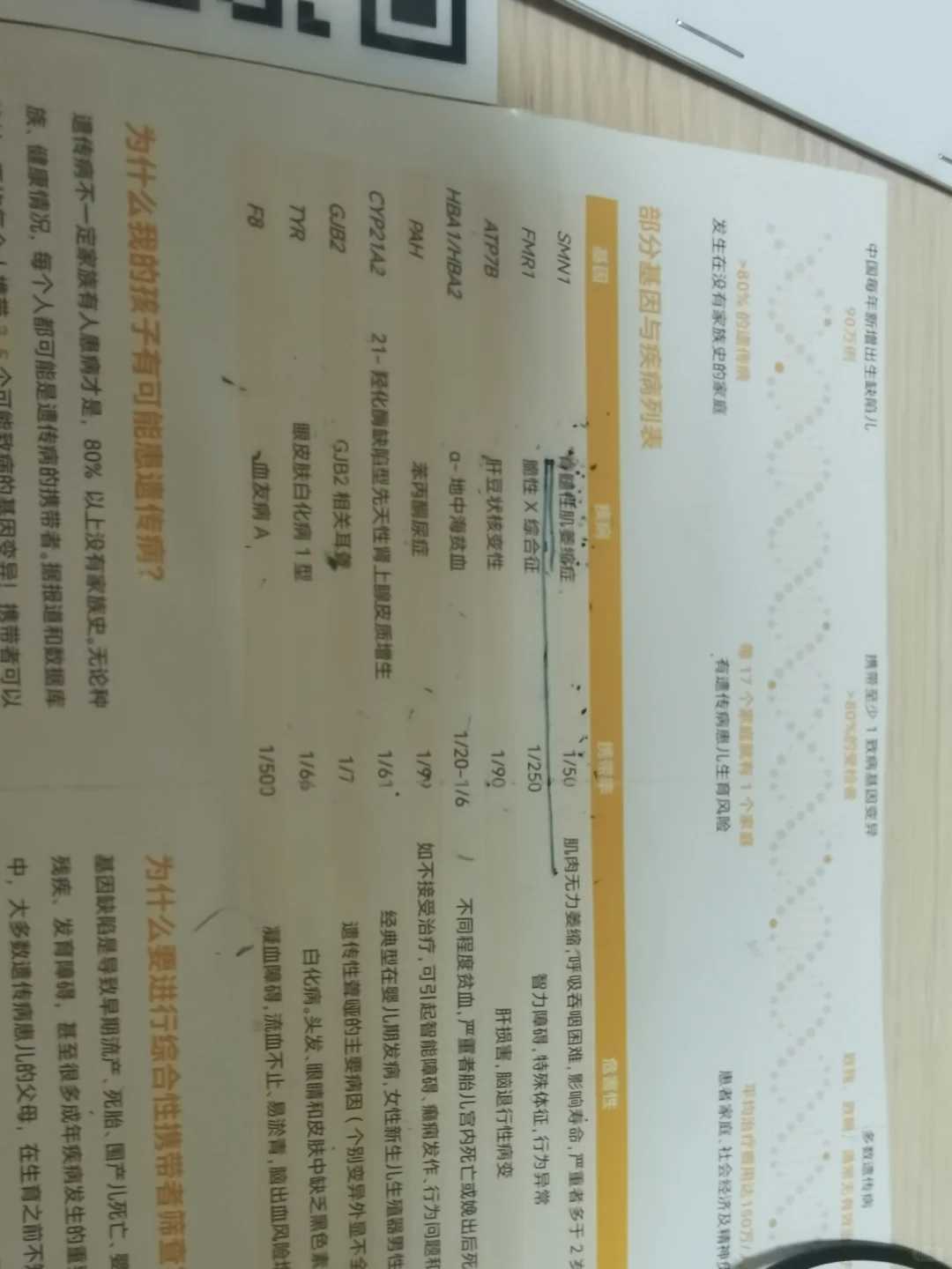 武汉给亡人放生,武汉哪里可以放生最好,自己出钱别人放生