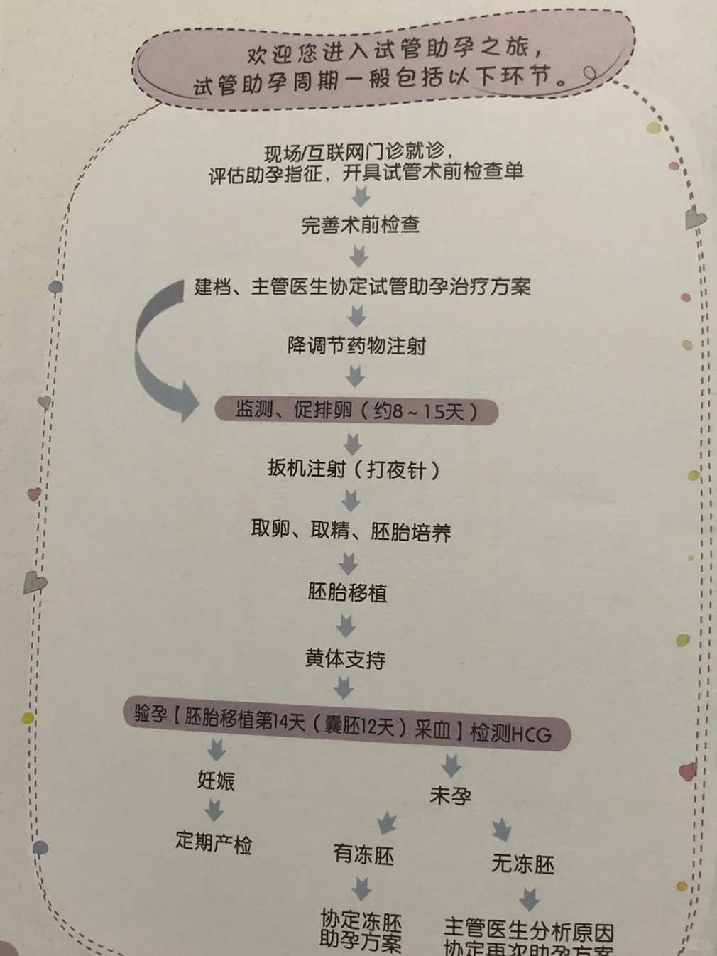 放生时说什么连云港八月十五放生的好处【乌龟放生冬天能活吗】