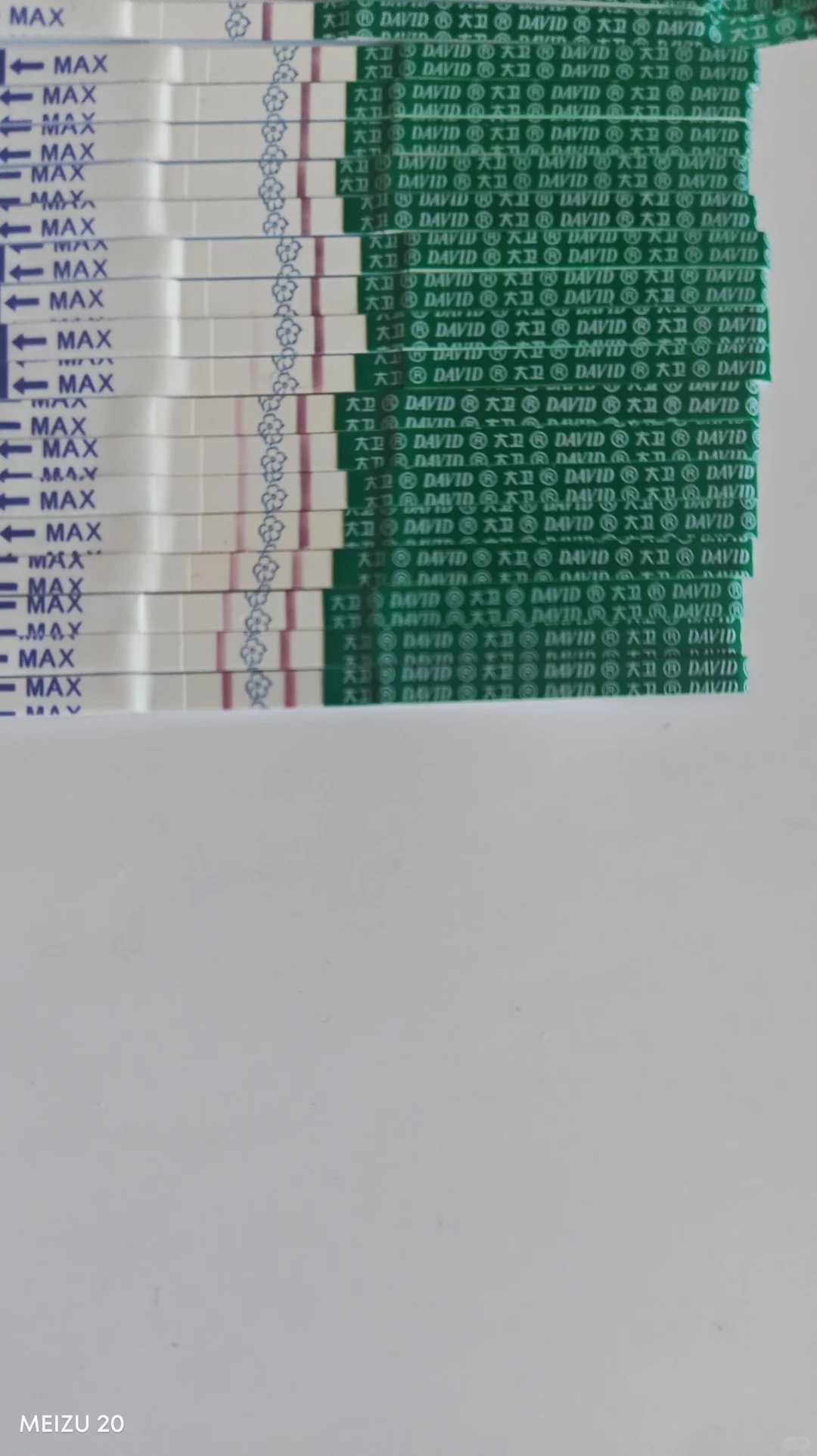 山东放生要回向吗（山东黄鳝可以放生到长江里吗）