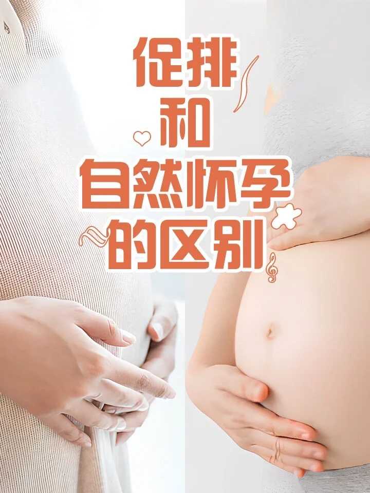 长春放生犯法吗（长春父母放生孩子有功德吗）