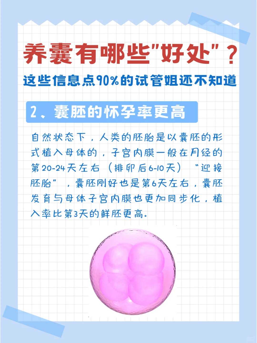 苏州放生鸟，放生泥鳅有助婚姻